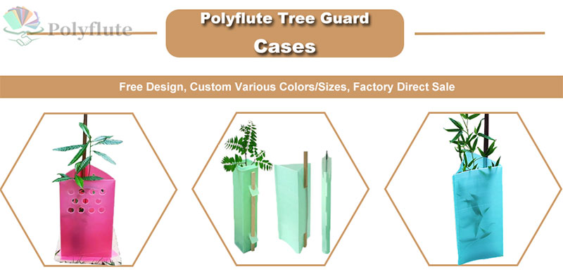 plastic tree guards