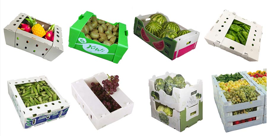 corrugated plastic fruit and vegetable packaging boxes