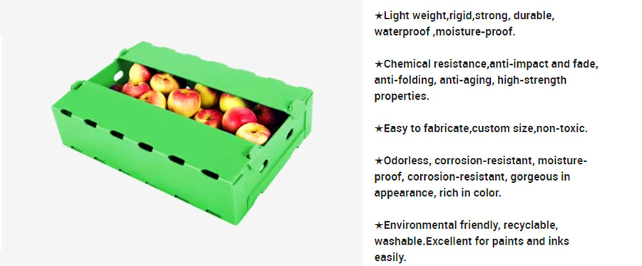 corrugated plastic fruit and vegetable packaging box