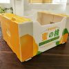 corrugated plastic fruit and vegetable boxes