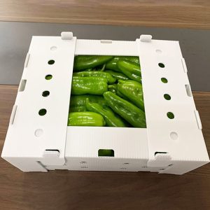vegetable packaging box
