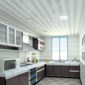 PVC Ceiling Design For Kitchen