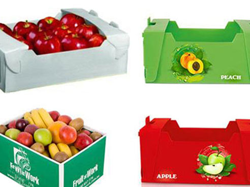 fruit packing box