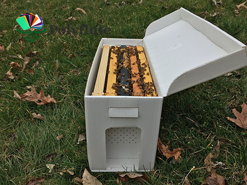 corflute bee box