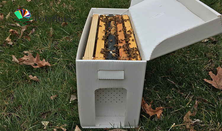 corflute bee box 