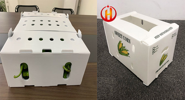 corflute fruit boxes