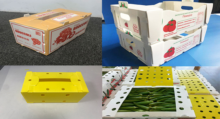 Corflute fruit packaging boxes