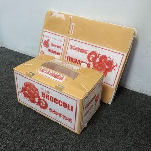 pp corrugated vegetable box