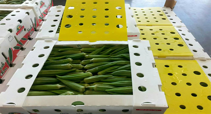 vegetable packaging boxes